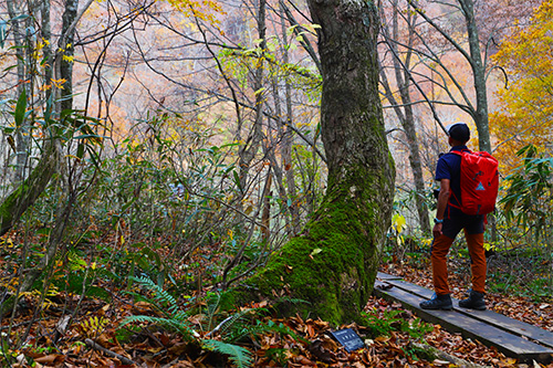 01クリエイティブアート101デザインズ