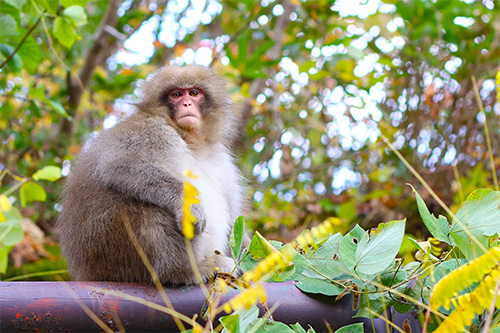 02クリエイティブアート101デザインズ