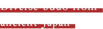 Diverse budo from ancient Japan