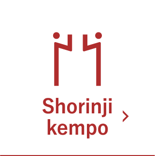 Shorinji kempo