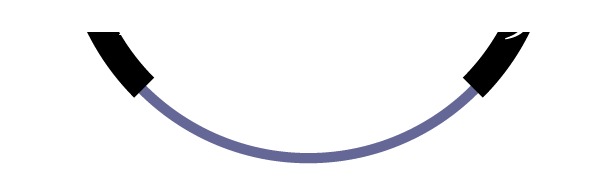 アーバンスポーツツーリズムの魅力