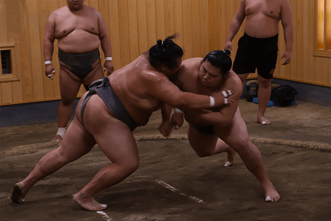 相撲（東京都・島根県）